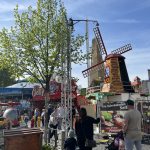 Erfurter Altstadt Frühling / 2024